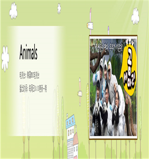 Animals